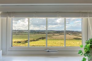 Photo 19- click for photo gallery